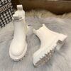 Sf76fd6d4fcb24e679a78d3c5c28d79b7a Autumn Winter Chelsea Boots Women 2022 Fashion Brown Black Beige White Ankle Boots For Women Fur Short Chunky Punk Gothic Shoes