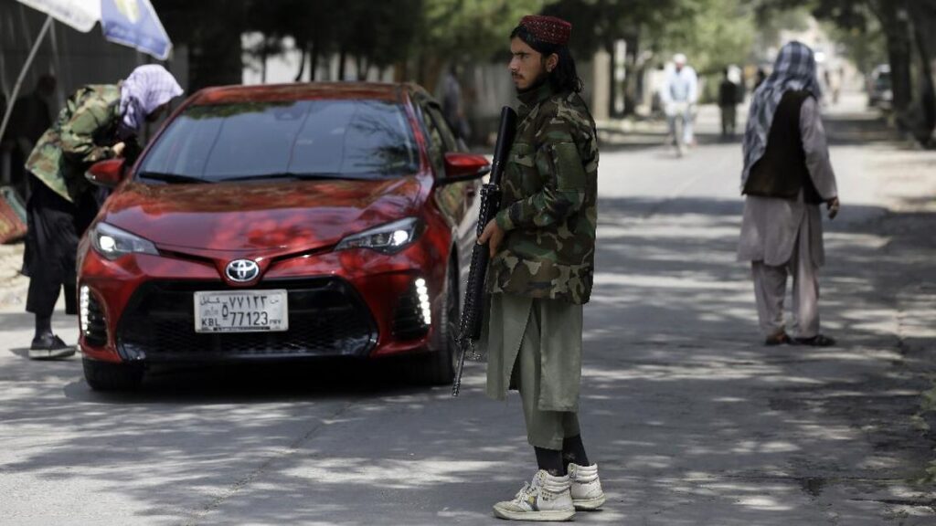Cheetah Sneakers Taliban